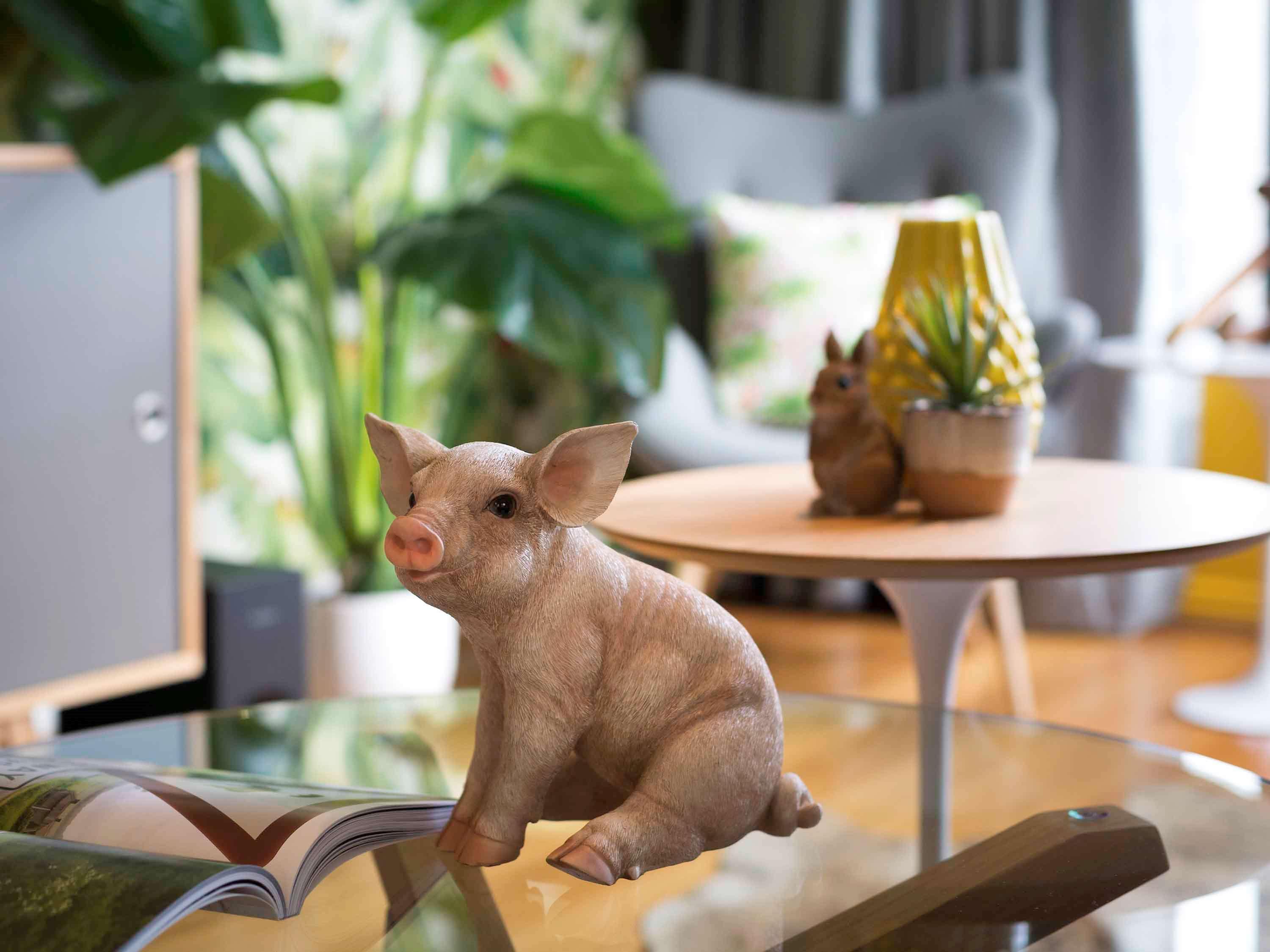 Pullman Sydney Hyde Park Hotel Екстериор снимка A piglet
